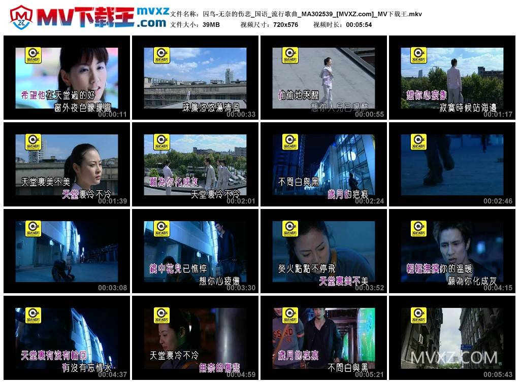 囚鸟-无奈的伤悲_国语_流行歌曲_MA302539